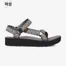 테바 이미지