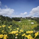 파인밸리 이미지