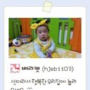 베리캣 이미지