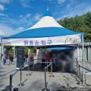 강원도 철원 한탄강 주상절리길 잔도, 이용요금, 소요시간, 셔틀버스 이용 팁, 순담 매표소, 순담에서...