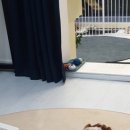 올데이뷰티샵