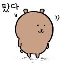 포토덤프? 그거 완전 내가 맨날 하던짓이자낭~🍀