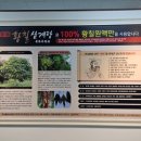 주선황칠삼계탕 네이버블로그