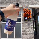 시금털털협동조합 이미지