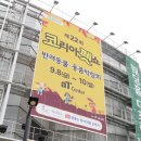 인터펫양재점 | 케터,노스텔지아트 양재AT센터 코이라 펫쇼에 입점 후기