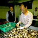 송이주민협동조합
