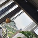 시크릿 뷰 이미지