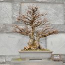 제주아트랜드 이미지