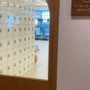 로하핏 스튜디오 이미지