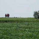 (주)청보리 이미지