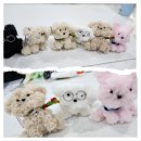 하얀미술교습소 이미지