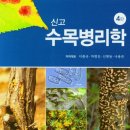 나무Ⅰ