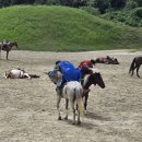 영화7길 | 제주 더마파크 내돈내산 후기 | 영화 같은 기마공연에 완전 압도당했어요🐴