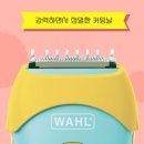 시저스바리깡