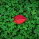 행복1발전소 이미지