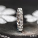 견고하개 이미지