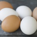 달걀 다이어트 효과 얼마나 있을까? 이미지