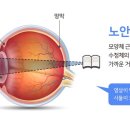 더안경 이미지