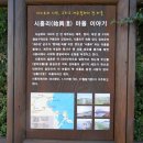 [ 장흥군 억불산 & 제주도 올레 1 코스 ] (1) 이미지