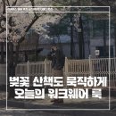 568 | 남자 봄 코디 추천ㅣ리바이스 568 더블니 팬츠 벚꽃 코디 후기