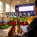 선진유치원 | 강아지유치원 후기 비교 완벽가이드