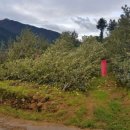 풍운농원 이미지