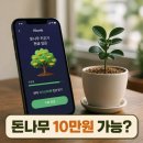 에너지뱅크 | 케이뱅크 돈나무 키우기 현금 10만원 가능할까 후기