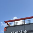 양산 | 김해 파스타 맛집 다이닝숲 양산본점 비교 후기