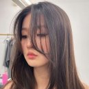 살롱드레브 이미지