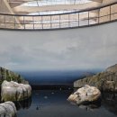 (주)해담채삼성포스코점 | (캐나다 여행) 몬트리올 바이오돔(Biodome)솔찍후기! 실내에서 만나는 5가지 에코시스템 (아이와 가볼...