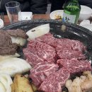 노형순창