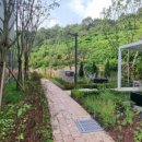 코끼리공인중개사사무소 이미지