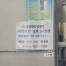 금강산성 | 공주 산성시장 닭강정 맛집 금강튀김