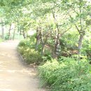 몽마르뜨 이미지