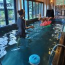 속초 애견펜션 양양 해피 플레이스 이미지