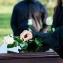 돼지나라 이미지