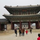 경기대석사태권도 이미지