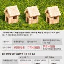 세무법인배 이미지