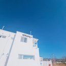 스테이유 이미지
