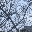 (주)백룡 이미지