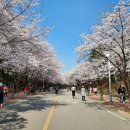 인천대공원역 이미지