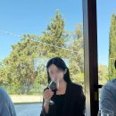 흙집휴2민박 | 피렌체에서 로마 이동 투어 이탈리아 토스카나 와이너리 치비타 디 바뇨레조 기차 대신 가는법
