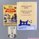 아이카페 | [천안고양이카페] 입장료 하나로 키즈카페까지! '지상냥원' 아이와 교감 후기