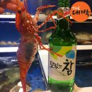 새우일 산소 이미지