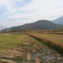 곡성-137 이미지