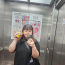 공설모터 | Maestro의 지휘에 맞춰. 휘뚜루마뚜루~~~~!