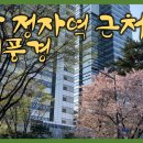 신분당선 정자역 주변 이미지