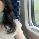 자공이라는 친정 🩷🌸 이미지