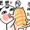 삼층고양이 이미지