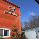 올리브나무 | 고양시 화원 푸르다 올리브나무 내돈내산 구매후기